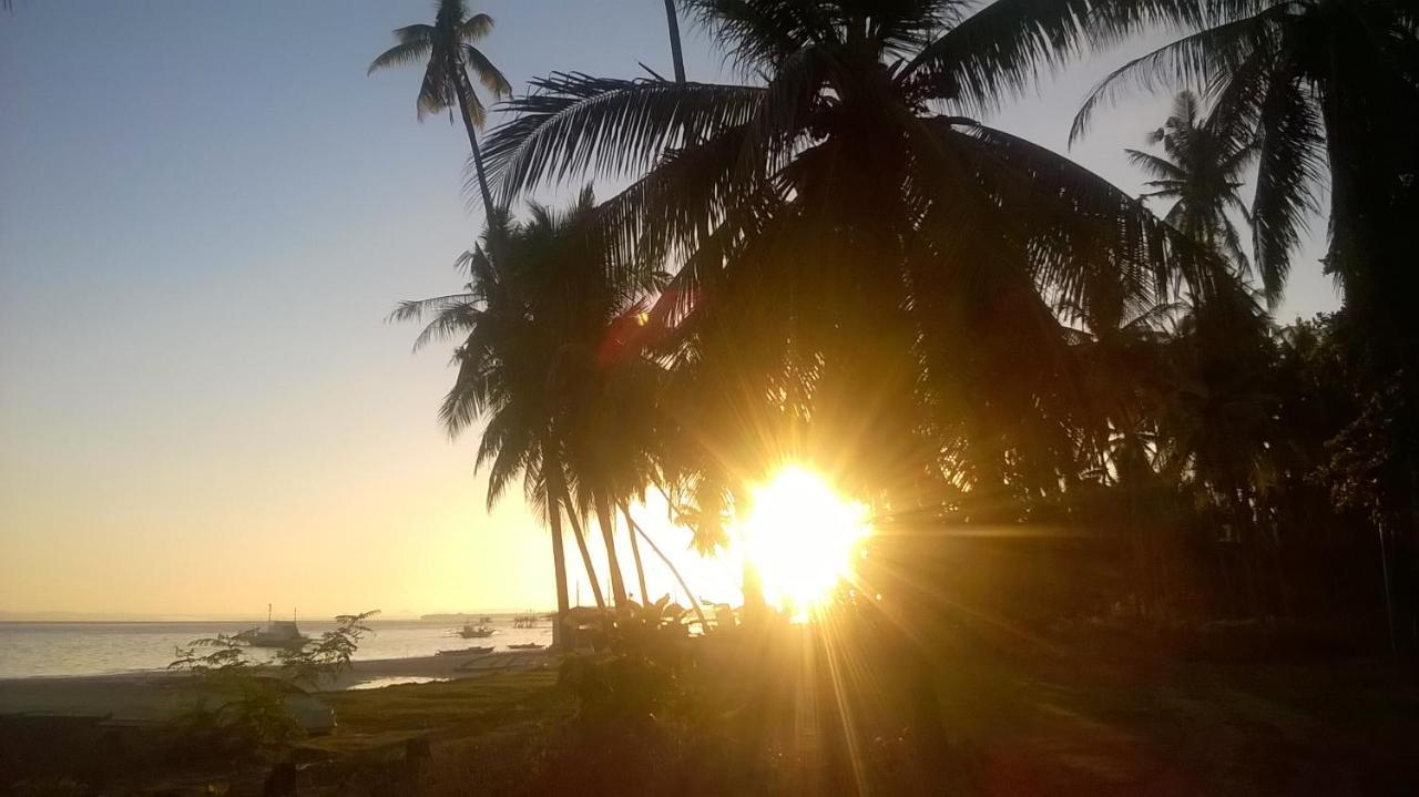 Homaja Roomrental Panglao Exteriér fotografie
