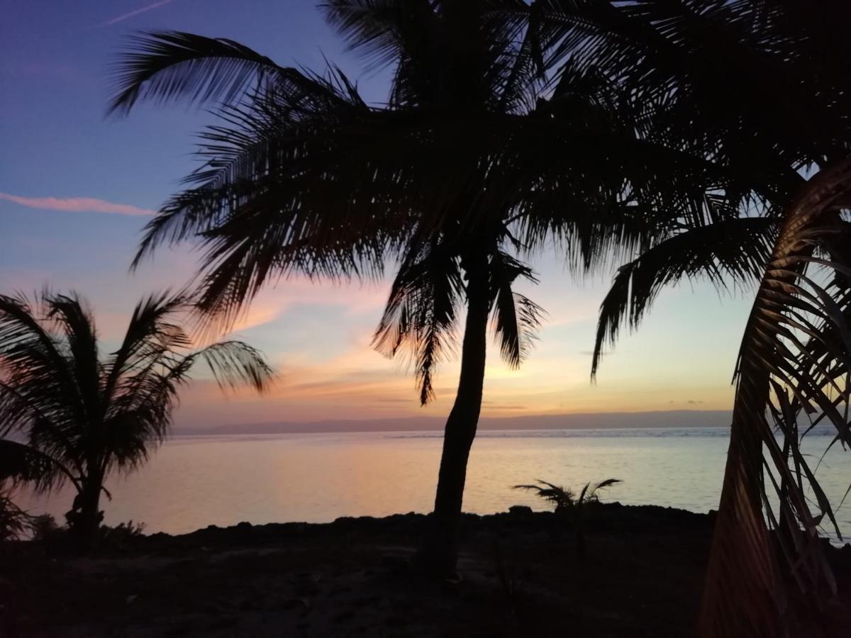 Homaja Roomrental Panglao Exteriér fotografie