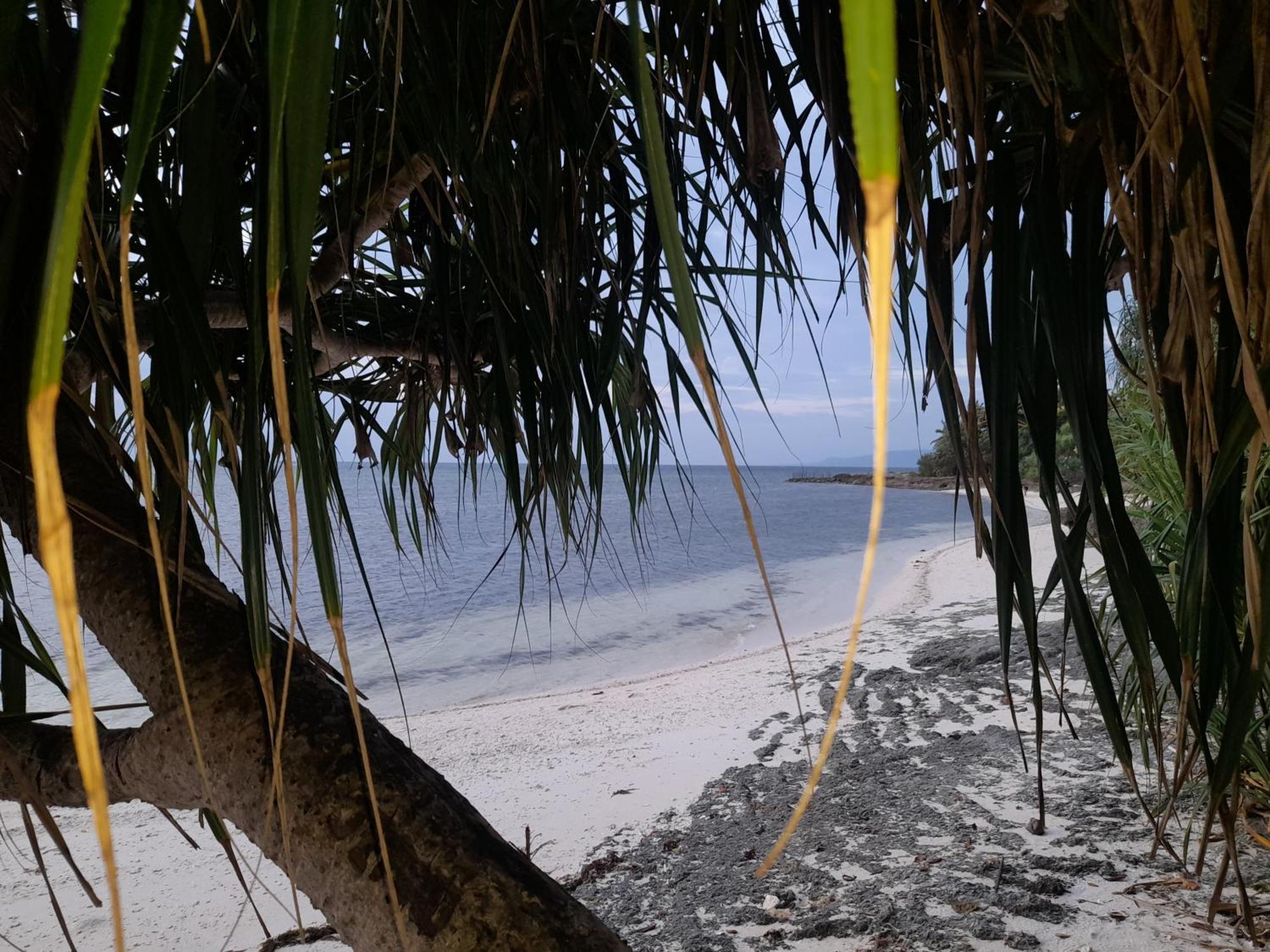 Homaja Roomrental Panglao Exteriér fotografie